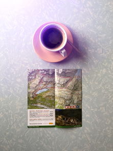 旅行牙刷杯大比拼，几大品牌带你轻松出行