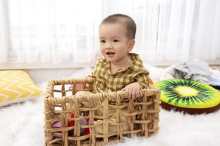 9个月孩子早教玩具品牌全解析