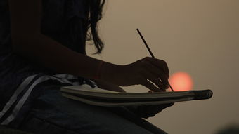揭秘老年陪伴机器人，让夕阳更美的智能守护者