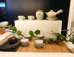 品牌水杯泡茶，品味生活新境界