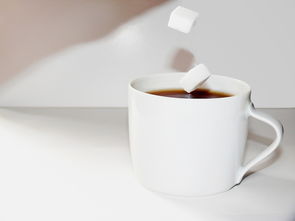 品牌水杯泡茶，品味生活新境界