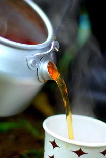 水杯轻巧品牌大盘点，便携生活，从一杯开始！