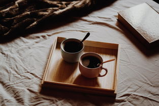 揭秘欧洲水杯品牌排行榜，谁才是你的杯中佳品？