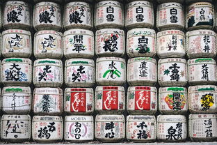 揭秘日本品牌冰箱商标，独特设计背后的故事