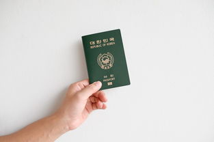 韩国高端卫生纸品牌排名解析