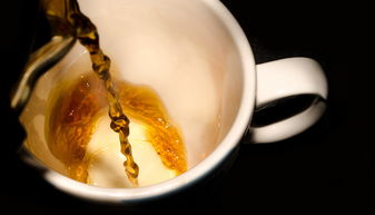 哪些品牌奶茶在用鲜奶奶？一文带你了解