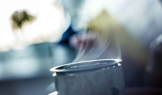 杯装奶茶品牌价格排名大解密，你喝的是哪个档次？