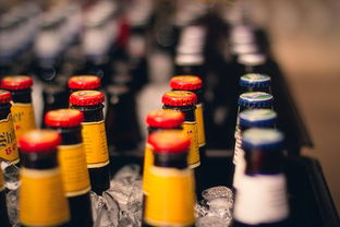 中国十三大白酒品牌深度解析