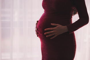 孕期护理必备—盘点那些让你刷出健康的高档孕妇牙刷品牌
