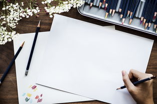 素描铅笔橡皮推荐品牌—初学者与资深画家的共同选择