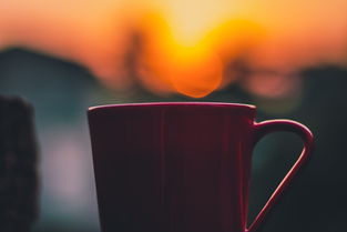 全面屏时代，水杯也全面屏？揭秘那些让你眼前一亮的全面屏水杯品牌