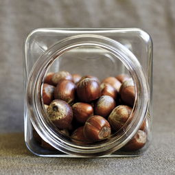 良品铺子坚果品牌方，品质坚果，匠心独运