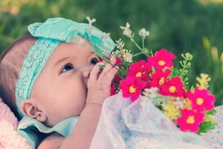 呵护宝宝口腔健康，女款品牌幼儿牙刷大推荐！