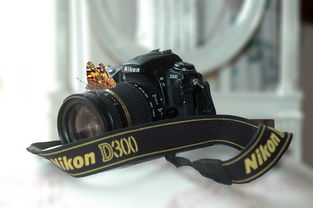 Nikon相机品牌深度解析
