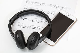哪个品牌的耳机低音效果最佳？深度解析各大品牌耳机低音表现