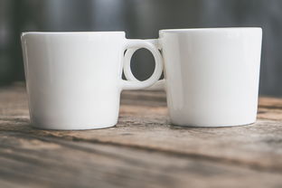 茶花水杯品牌深度解析，从设计到市场的全方位扫描