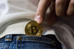 有图案的品牌铅笔，时尚与实用性的完美结合