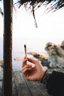 牙刷大揭秘，盘点那些让人爱不释手的牙刷品牌