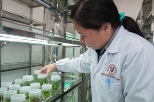 太原奶茶店设备品牌大比拼，排行解析与选购指南