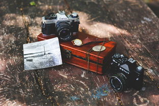 Lumix品牌相机，品质卓越，功能强大，摄影爱好者的理想之选