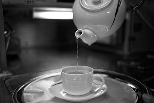盘点便携热水杯品牌，让你随时随地享受温暖！