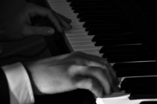 国外铅笔制作吉他品牌，独特工艺与音乐传奇的融合