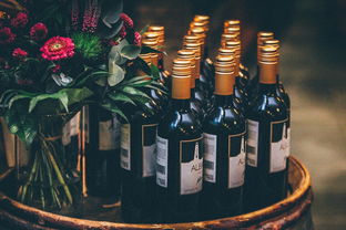 实惠健康白酒品牌大解密，选酒不再迷茫
