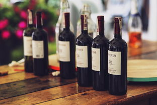 所有浓香型白酒品牌大解析