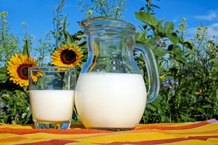 品牌水杯福利夏日炎炎，清凉一夏，快来领取你的专属水杯福利！