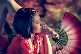 柔术舞蹈女装品牌，从街头到T台的华丽转身