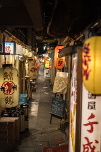 日本高端中餐馆品牌名称