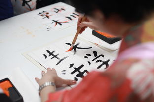 画画铅笔买什么品牌？一篇文章带你选对绘画好伙伴！