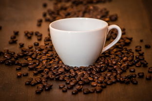 品牌珍珠奶茶加盟价格大解析