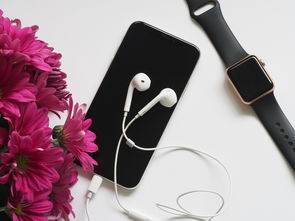 iPhone耳机品牌大盘点，从音质到舒适度，哪款最合你心意？