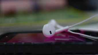 iPhone耳机品牌大盘点，从音质到舒适度，哪款最合你心意？