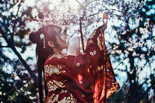 辉光汉服品牌，传统与现代的完美融合