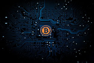 如何让付费阅读网站火起来—全方位推广攻略