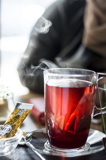 揭秘小狗水杯平价品牌—性价比之选，让你喝出健康与时尚
