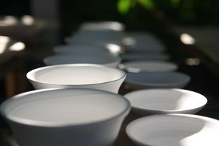 揭秘艺得博陶瓷，究竟是一线品牌还是二线品牌？