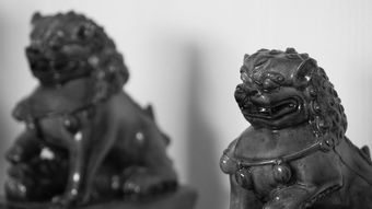 揭秘东方陶瓷品牌，千年传承，匠心独运的艺术瑰宝