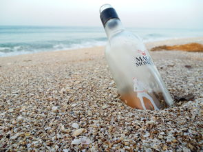 夏季必备！这些沐浴露品牌让你清爽一夏