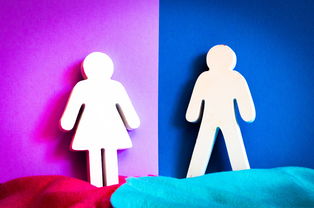 女性玩具十大品牌，深度解析与实例分享