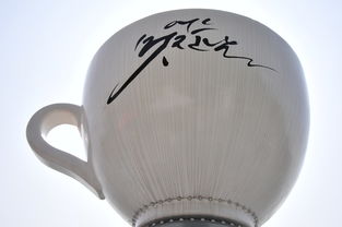 旅行必备神器—品牌热水杯旅游水杯，温暖你的每一程！