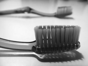 正品软毛牙刷品牌大全呵护口腔，从选对牙刷开始