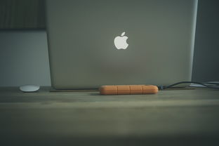 电脑开机图案大揭秘，各个品牌独特风格的背后故事