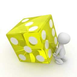 创建卫生纸品牌，从理念到成功的全方位指南