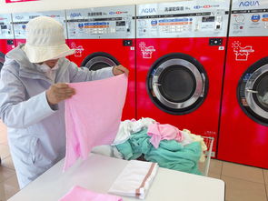 河北扫地机全自动品牌概览