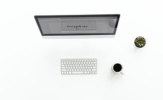 揭秘天津离子空气净化器品牌，清新生活，从呼吸开始