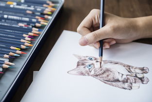 太子猫铅笔，一支铅笔背后的品牌故事