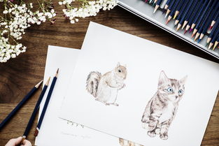 太子猫铅笔，一支铅笔背后的品牌故事